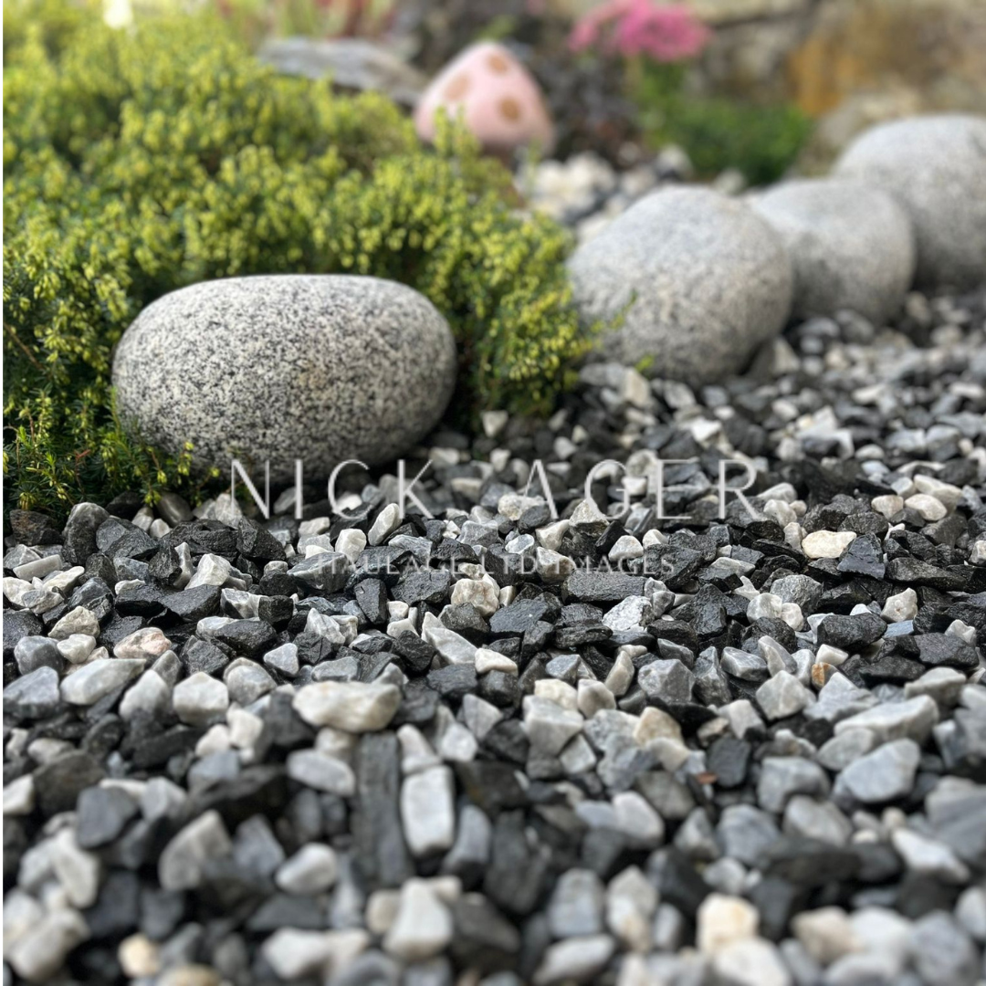 Close-up view of black and grey decorative stones surrounded by green foliage and larger pebble stones in a garden setting.
