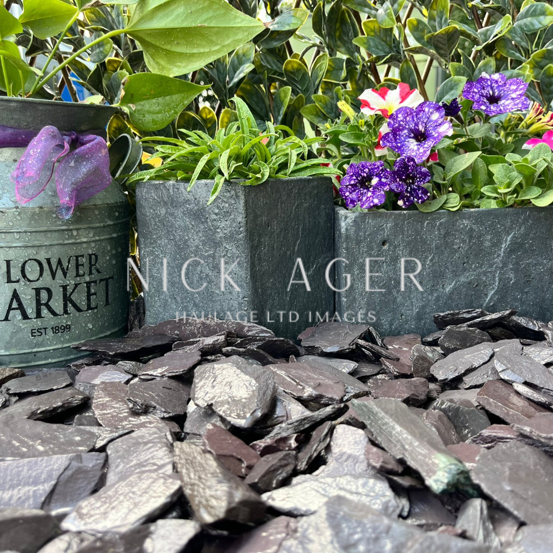 Three flower pots with purple flowers and green plants, placed on a bed of dark slate stones. The left pot is a metal container with 'Flower Market' printed on it.