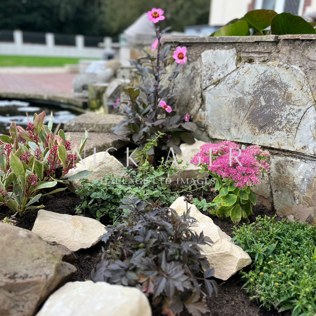 A close-up of a garden featuring a variety of plants, including pink flowers and lush foliage, alongside decorative stone elements.