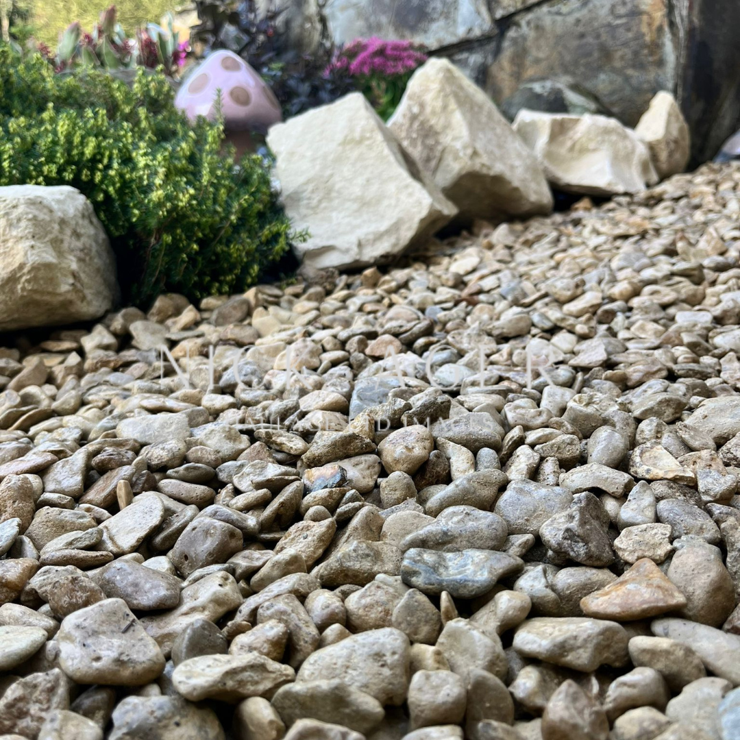 A close-up view of a garden path covered in small, smooth stones, with larger rocks and green plants in the background. A decorative pink mushroom can also be seen amongst the greenery.