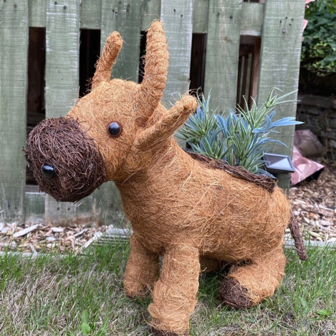 Highland-Cow-WP.png A decorative dog-shaped planter crafted from natural fibres, featuring a brown body and black button eyes, with green plants on its back, set against a wooden fence.