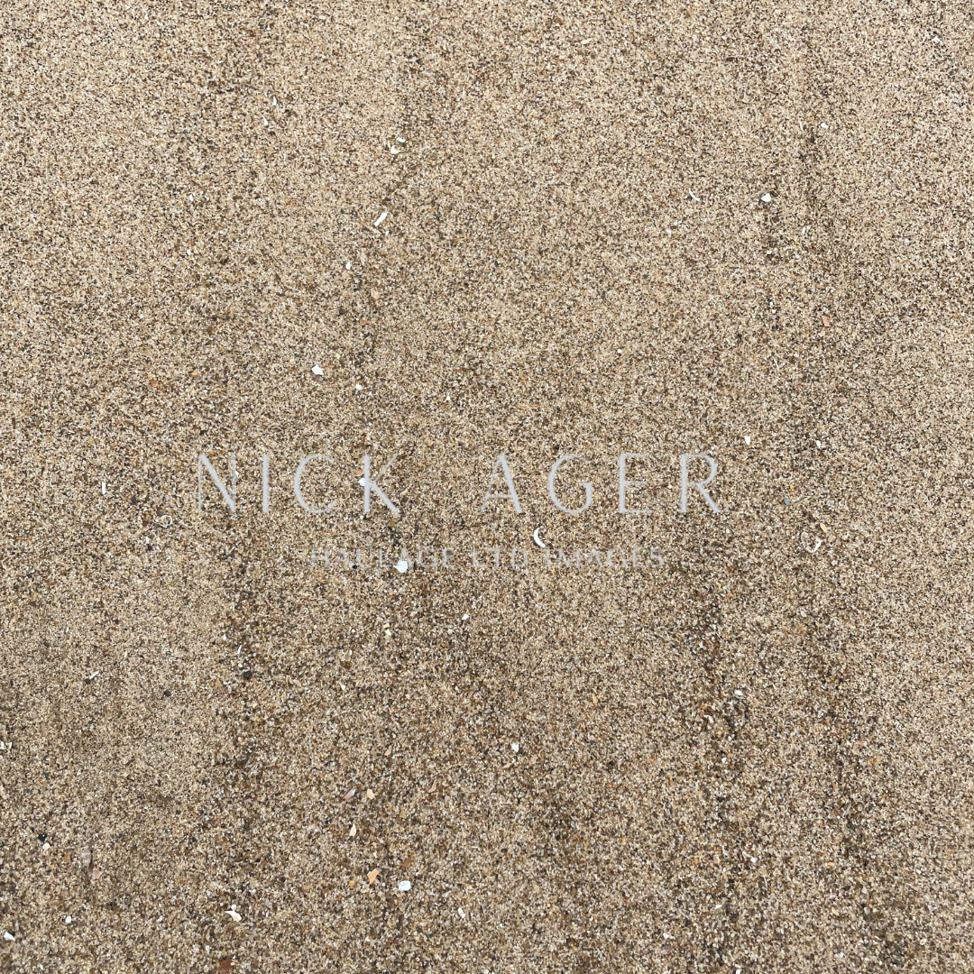 Close-up of fine, light brown beach sand with small shells scattered throughout