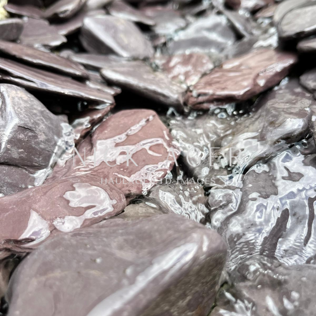 Close-up view of smooth, dark pebbles partially submerged in clear water, showcasing the texture and sheen of the stones.