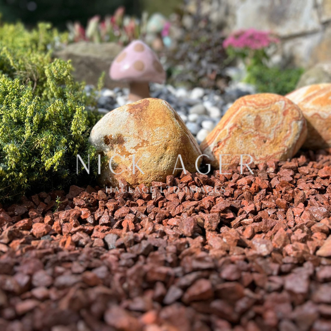 A vibrant garden scene featuring reddish gravel, decorative stones, and a whimsical pink mushroom, surrounded by greenery and colourful plants.
