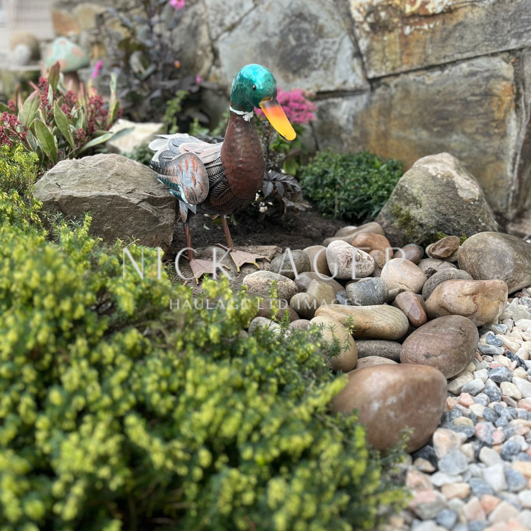 A decorative metal duck with a colourful head and yellow beak, surrounded by rocks and greenery in a garden setting.