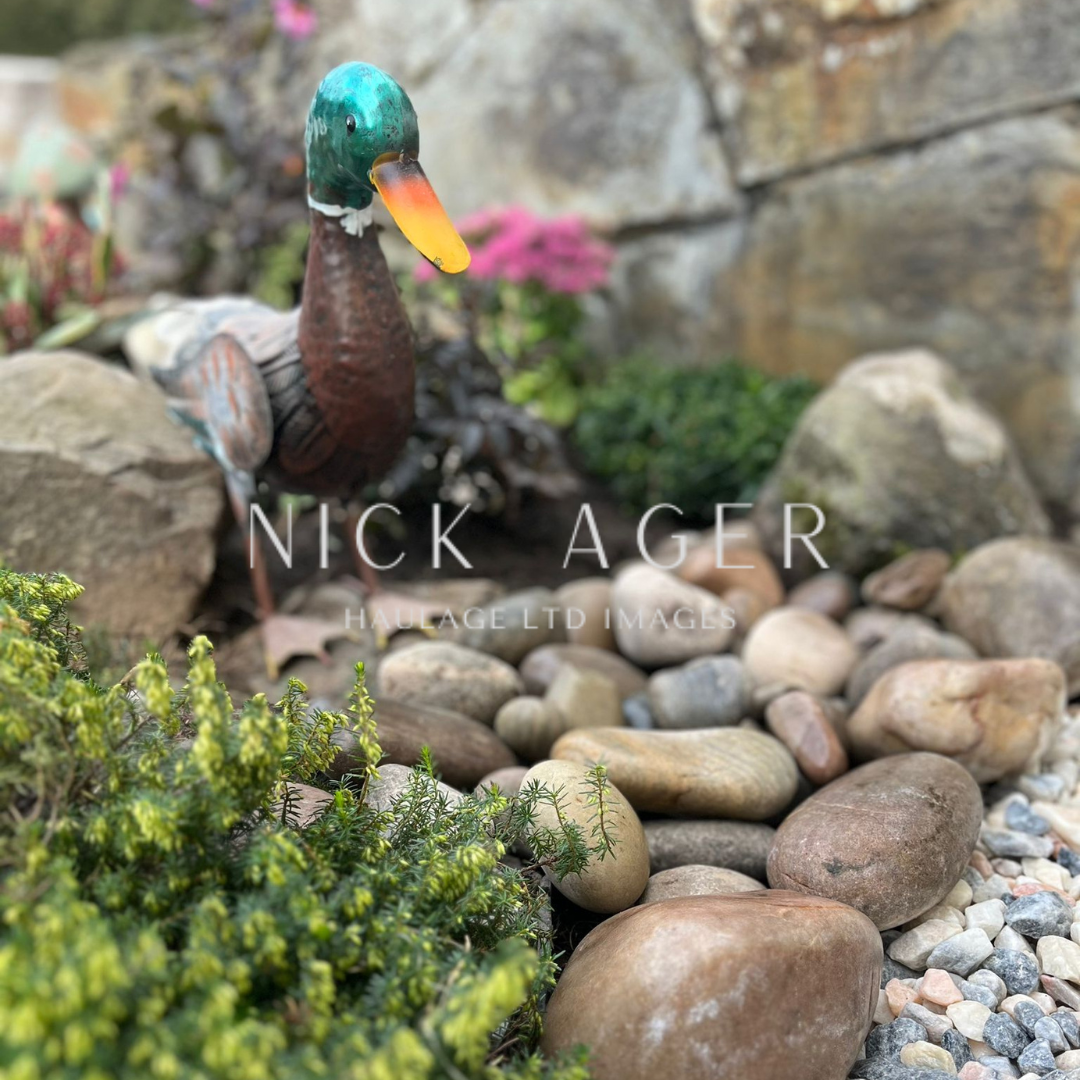 A colourful duck statue with a green head and orange beak in a garden setting, surrounded by rocks and greenery.