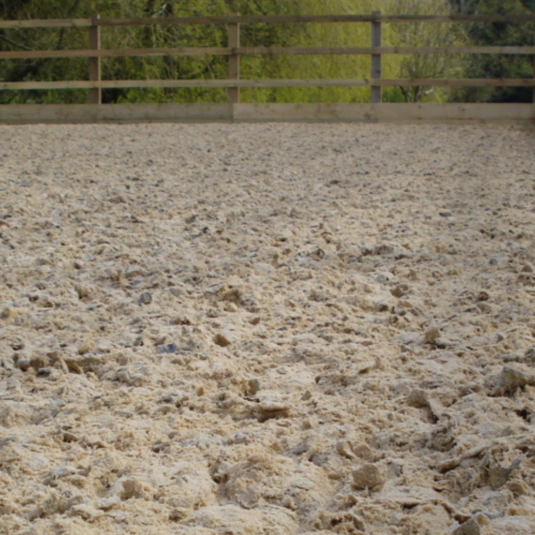 A close-up view of a sandy equestrian arena ground, with a wooden fence in the background and greenery visible beyond the fence.