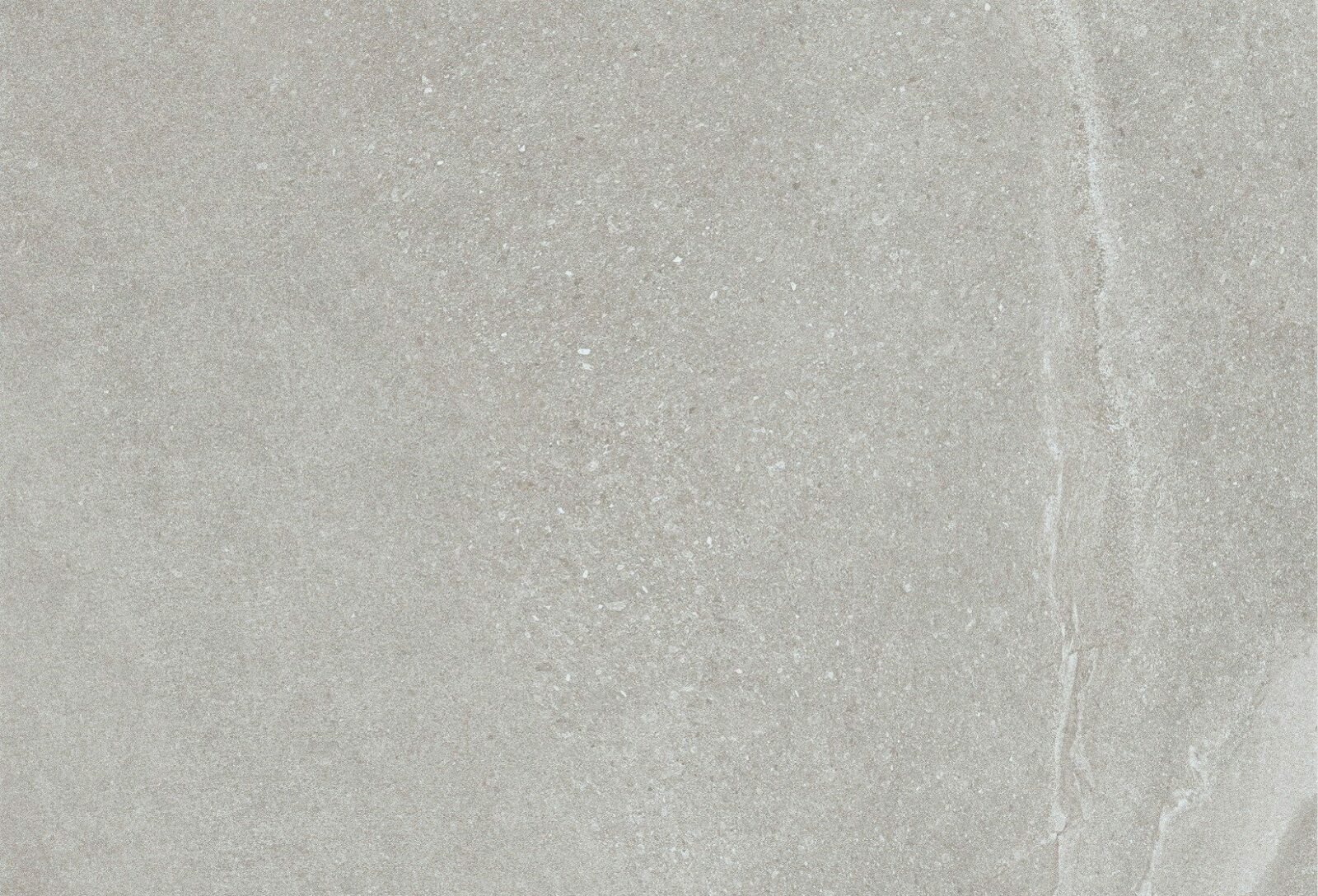 Close-up of a smooth, light grey tile with a subtle texture and fine speckles.