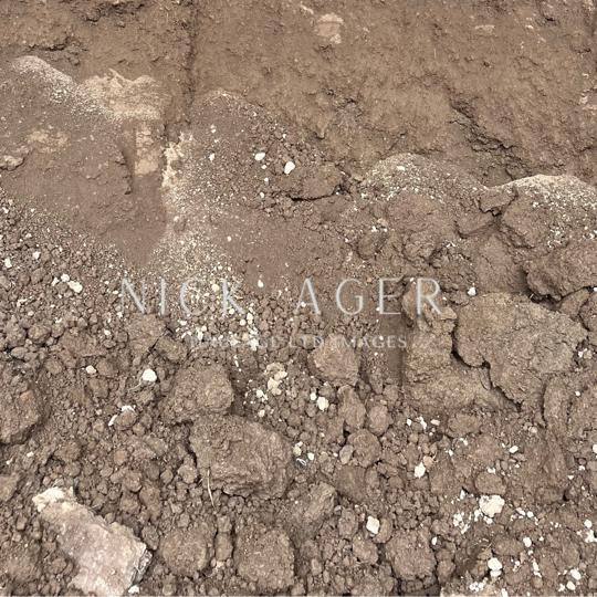 A close-up view of brown soil showing various textures and clumps, with some white mineral particles visible throughout.