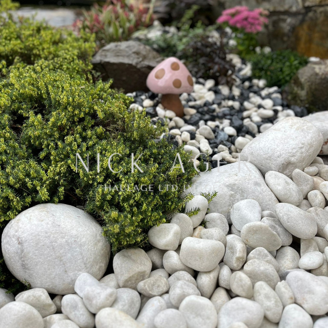 White-cobbles-2.png A landscaped rock garden featuring smooth white stones, green foliage, a pink mushroom ornament, and dark pebbles.