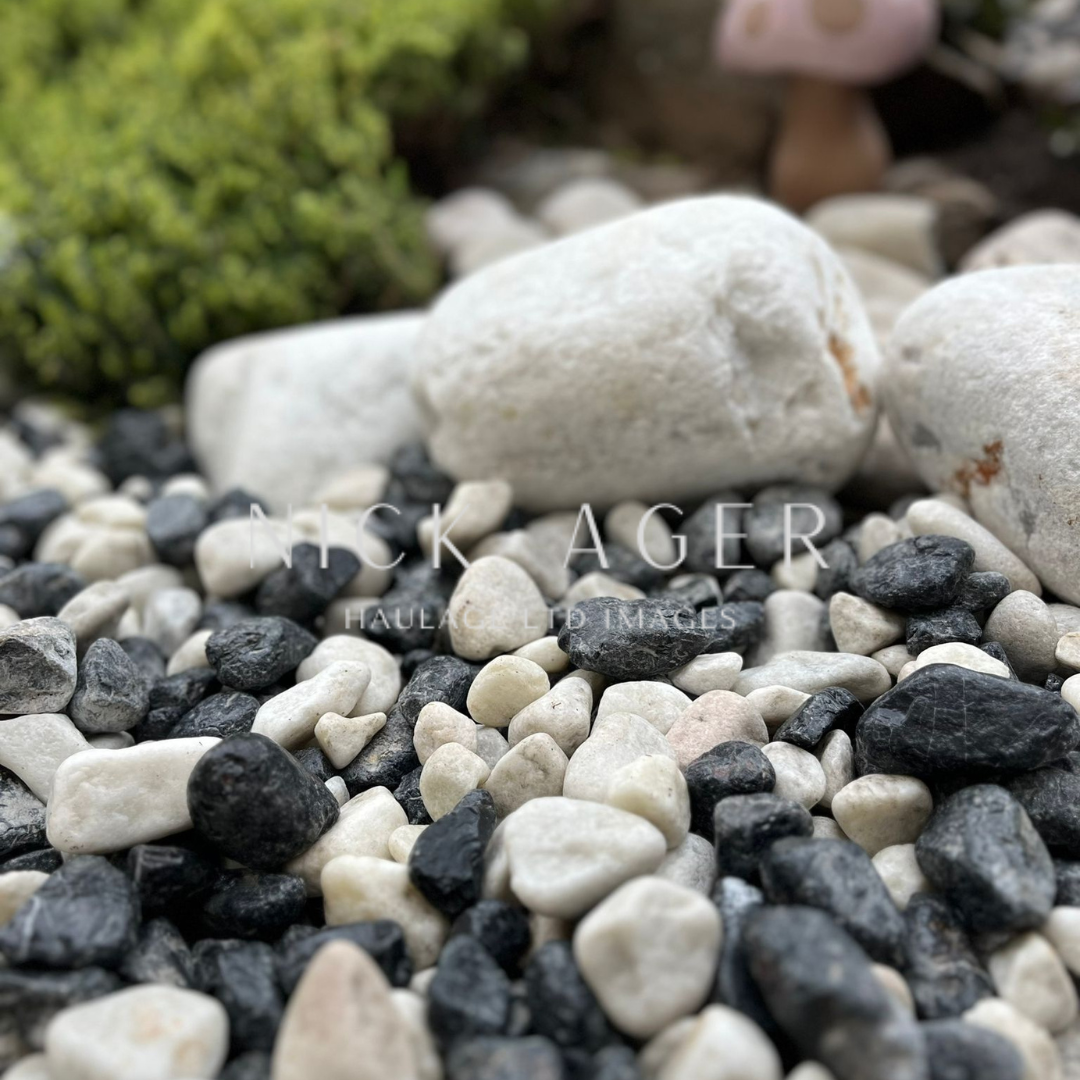A close-up view of various pebbles and stones in black, white, and grey, with larger white stones and some greenery in the background.