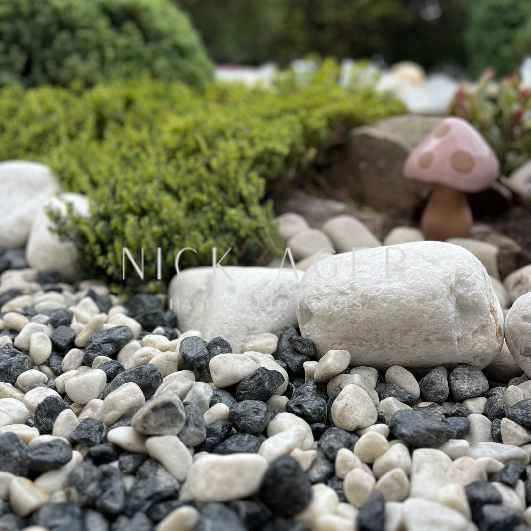 A close-up view of black and white decorative pebbles with a background of lush green foliage and a pink mushroom ornament.