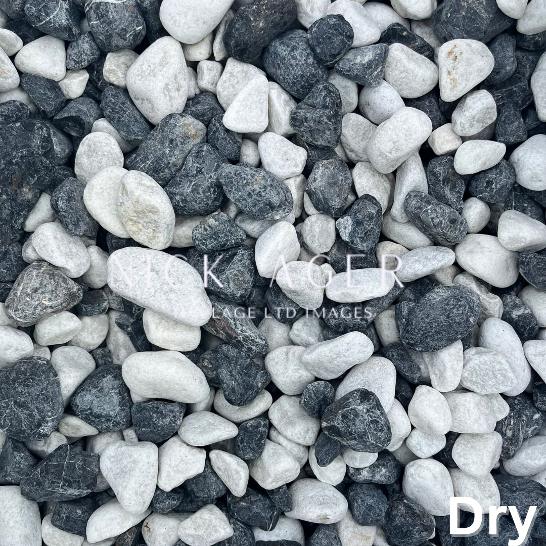 A close-up view of assorted black and white pebbles, showcasing a variety of shapes and sizes arranged on a surface.