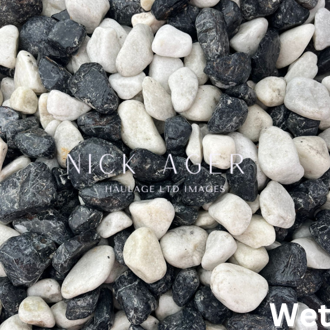 A close-up view of wet black and white pebbles mixed together, showcasing their smooth surfaces and varied shapes.