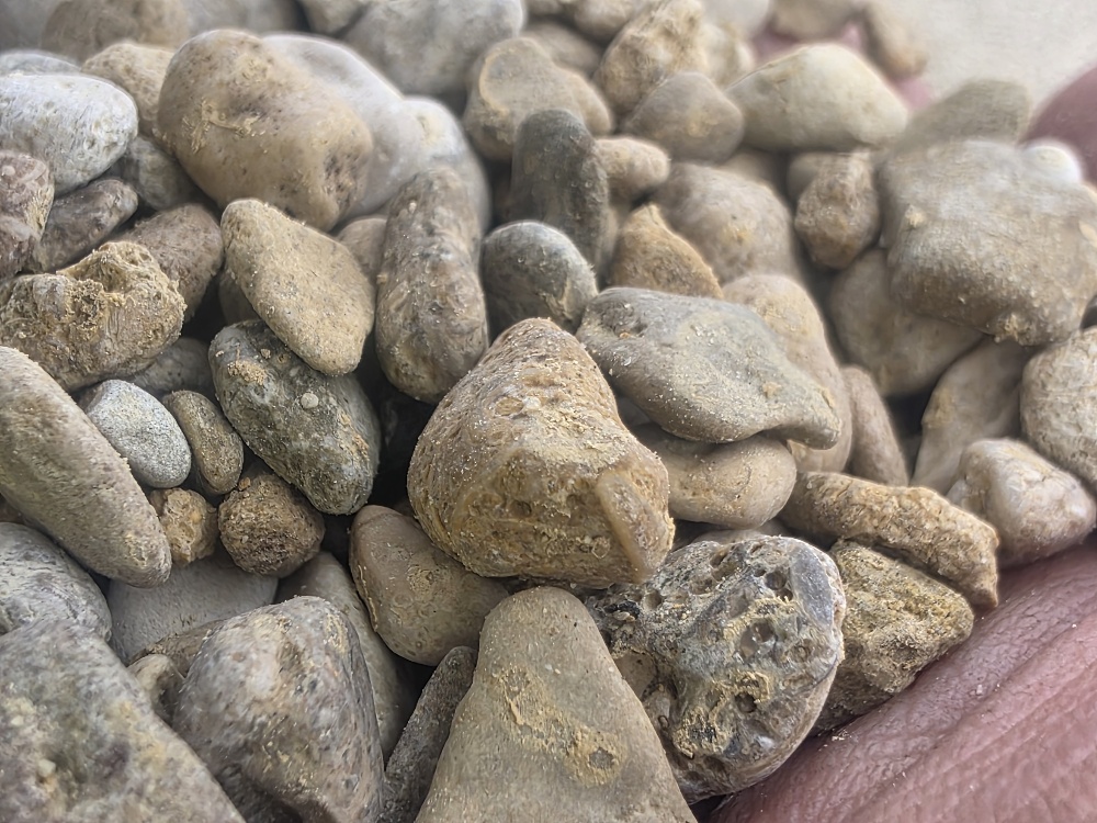A close-up view of an assortment of small pebbles and stones, showcasing their natural textures and colours.
