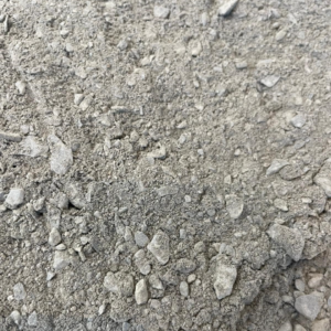 A close-up view of grey, gritty construction material with various sizes of small rocks and dust particles visible.
