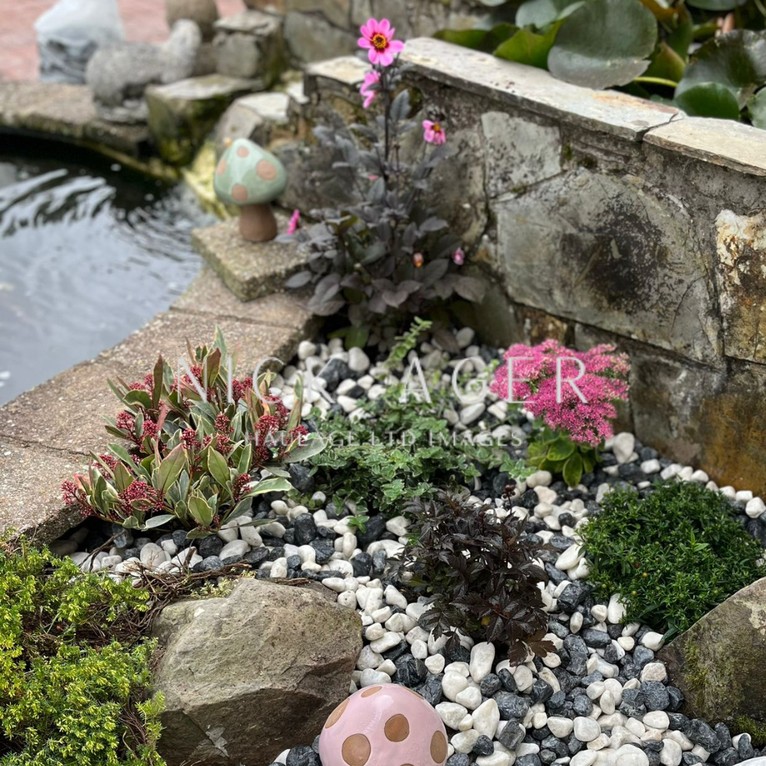A vibrant garden area featuring various plants including pink flowers and green foliage, with decorative stones and a whimsical mushroom statue.
